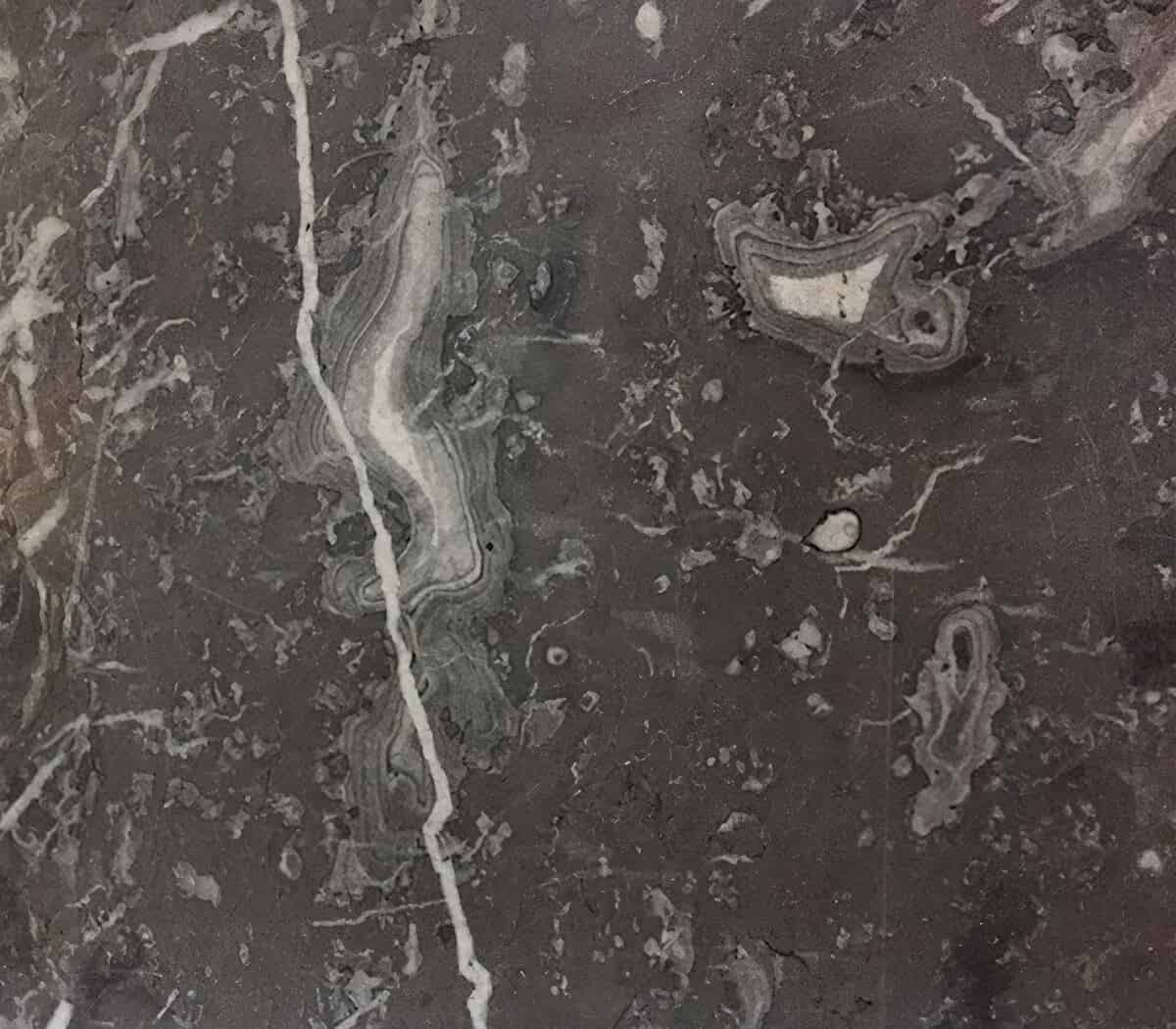 Antieke-marmeren-vloertegels