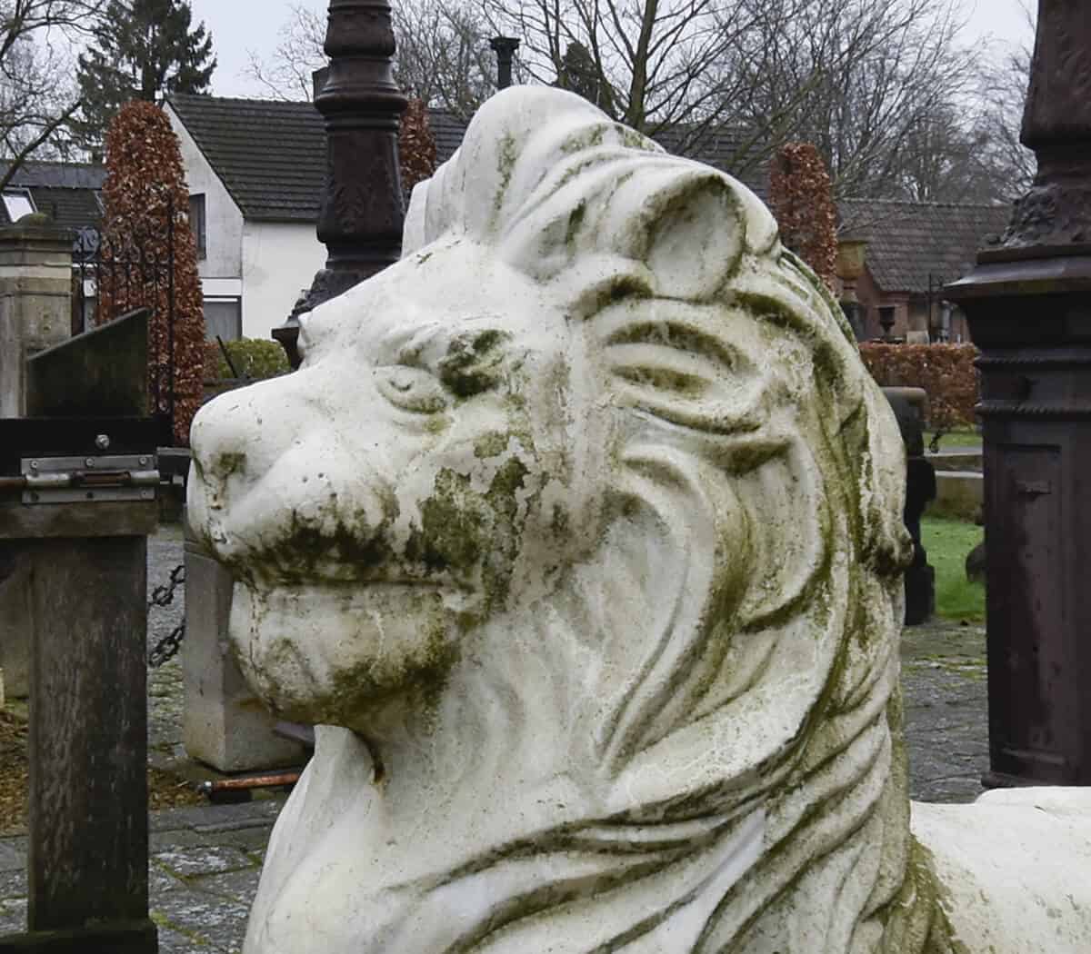 Set-gietijzeren-leeuwen