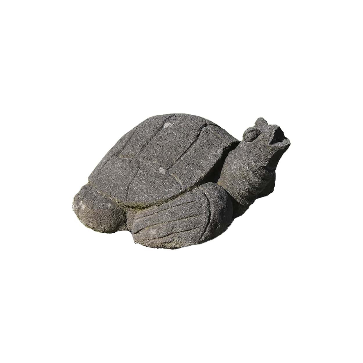 stenen-schildpad-klein