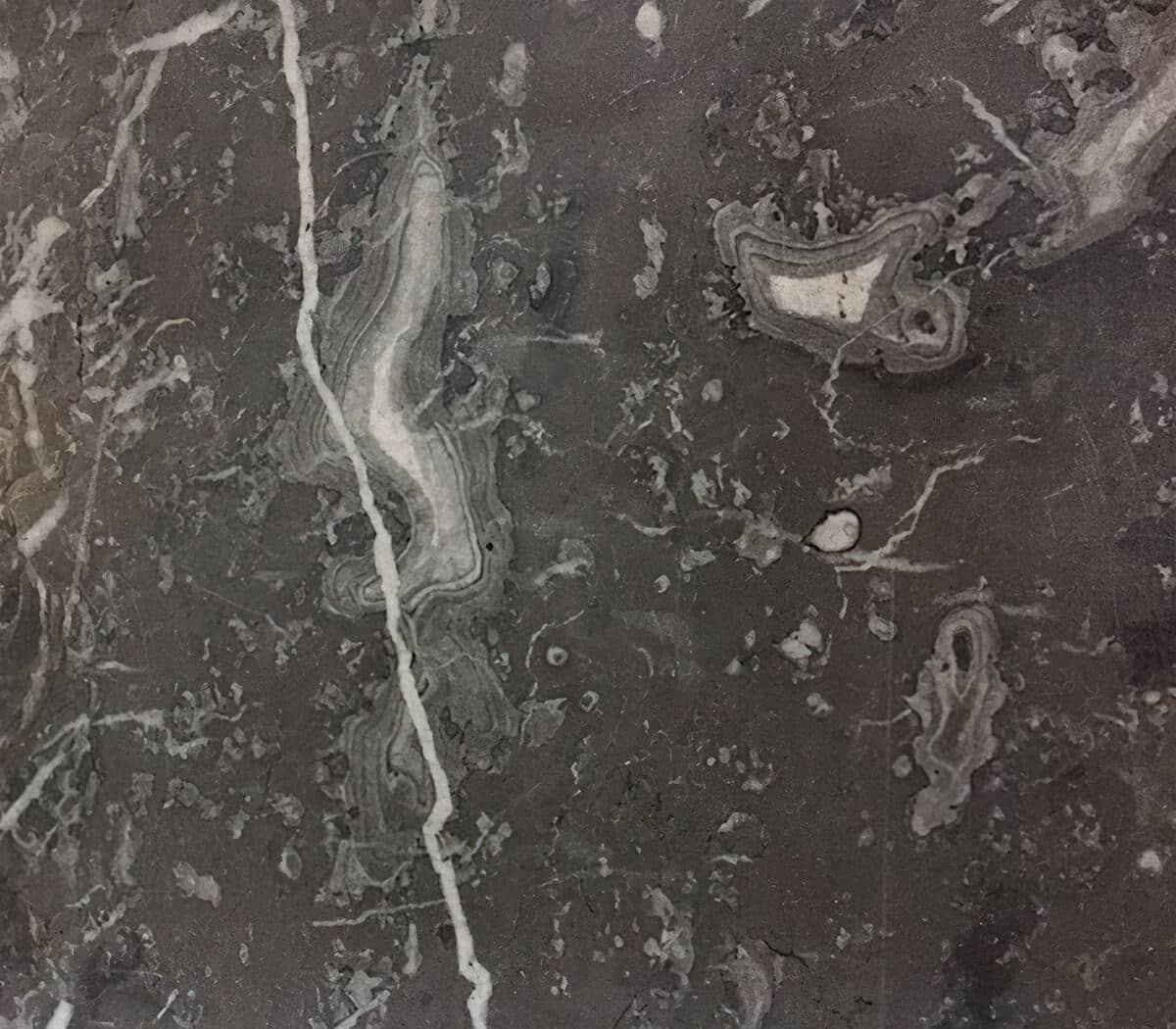 Antieke-marmeren-vloertegels