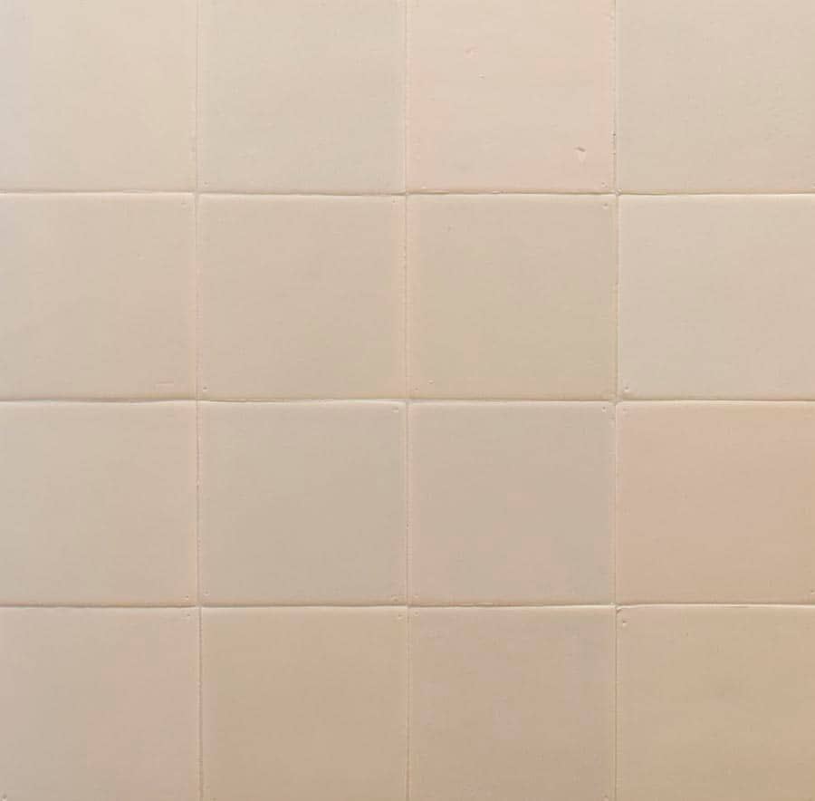 Hollandse-witjes-Achterhuis-mix