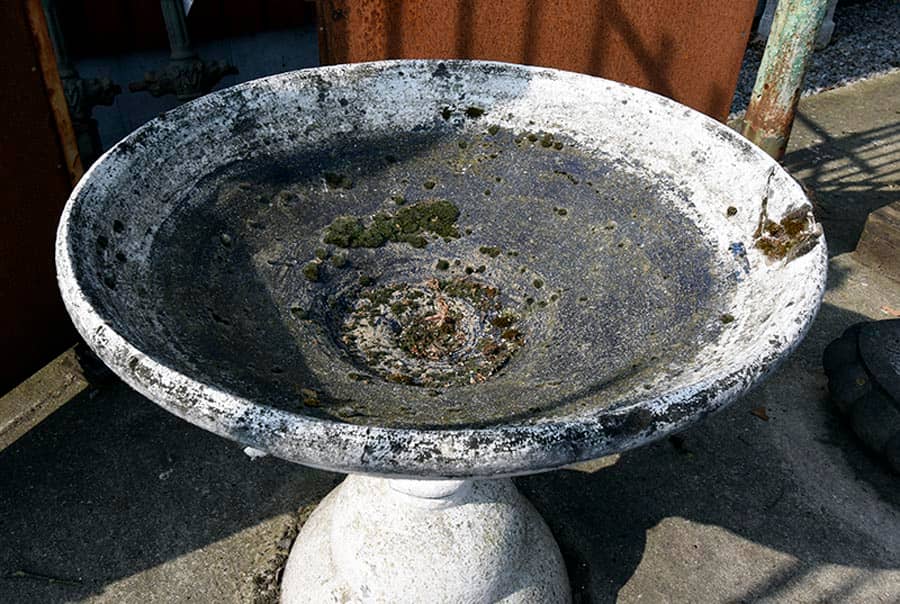 Stenen-schaal-op-sokkel