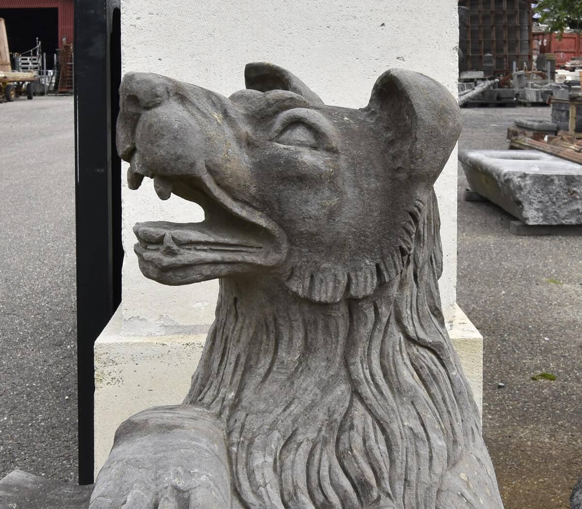 Set-van-2-honden-met-schild