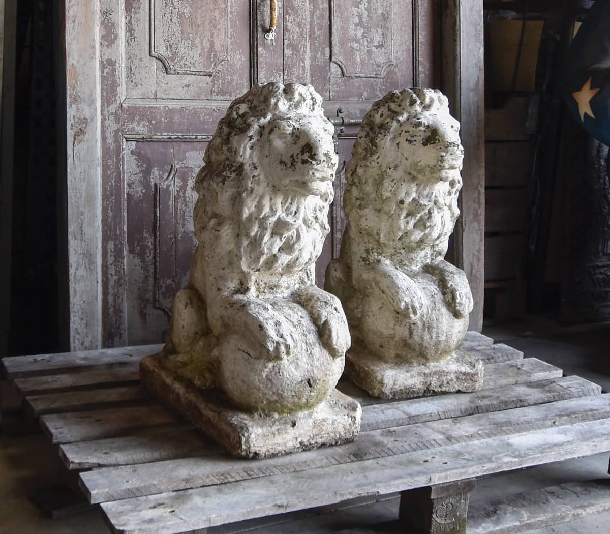 Set-van-2-stenen-leeuwen
